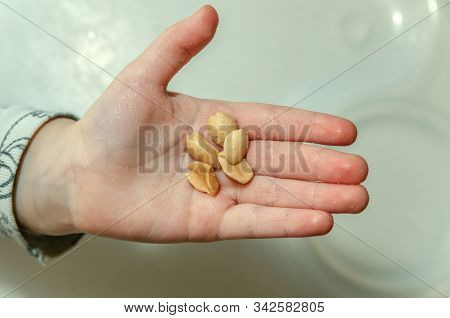 Childrens Palm, A Child Holds Peanuts In His Hand