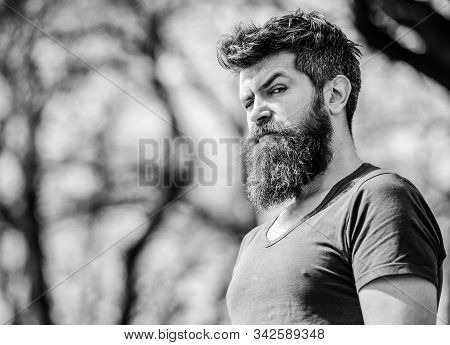 Bearded Man With Lush Hair. Free And Happy Time. Male Fashion And Beauty. Brutal Male With Perfect S