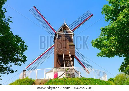 Mulino a vento e verde prato a Brugge