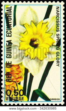 Moscow, Russia - December 22, 2019: Stamp Printed In Equatorial Guinea Shows Narcissus Or Daffodil O