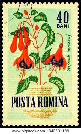 Moscow, Russia - December 31, 2019: Stamp Printed In Romania Shows Hummingbird Fuchsia Or Hardy Fuch