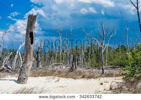 The Beautiful White Sand Beach Of Cayo Levisa, Cuba