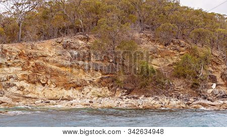 Rocky Coastal Shoreline With Brown Layered Volcanic Shale And Spindly Trees And Sparse Vegetation
