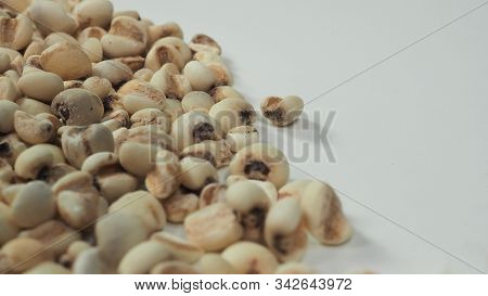 Job's Tears, Also Known As Adlay And Coix On Calico Background. Popular In Asian Cultures As A Food 