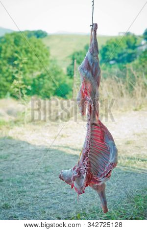 Fresh Goat Meat, Ready For Cooked.the Sheeps Flesh Was Shattered From The Top. Ready To Give Birth. 