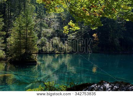 Deep Blue Mountain Lake Blausee In Bernese Oberland, Switzerland