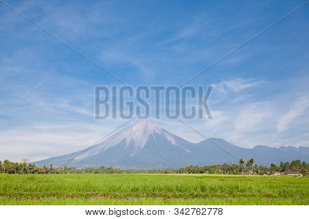 Landscape With Rice Fields And Agung Volcano. Indonesia, Bali. Agung Volcano And Rice Fields.