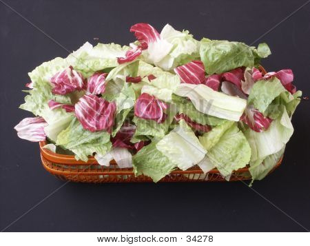TAZE SALATA