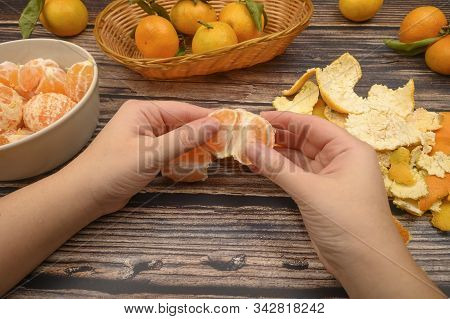 The Girls Hands Are Cleaning Tangerine, Tangerines On A Twig With Green Leaves, Peeled Tangerines In