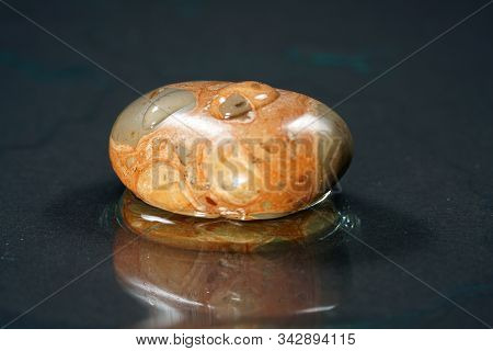 The Leopard Jasper Improves Endurance And Strengthens The Bladder.