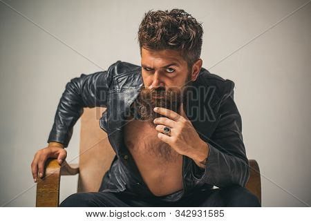 Brutal Bearded Fashionable Man With Serious Face Sitting In Chair And Looking At Camera. Macho Man C
