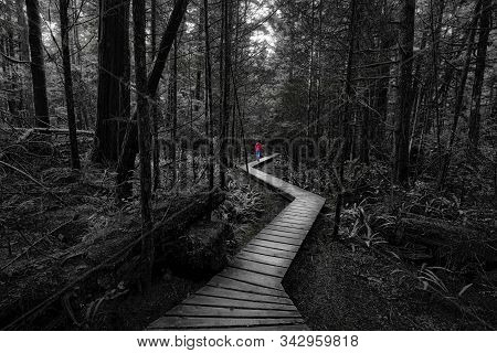 Black And White Artistic Photo Of A Woman Wearing A Red Coat Walking On A Wooden Path In A Wild Rain