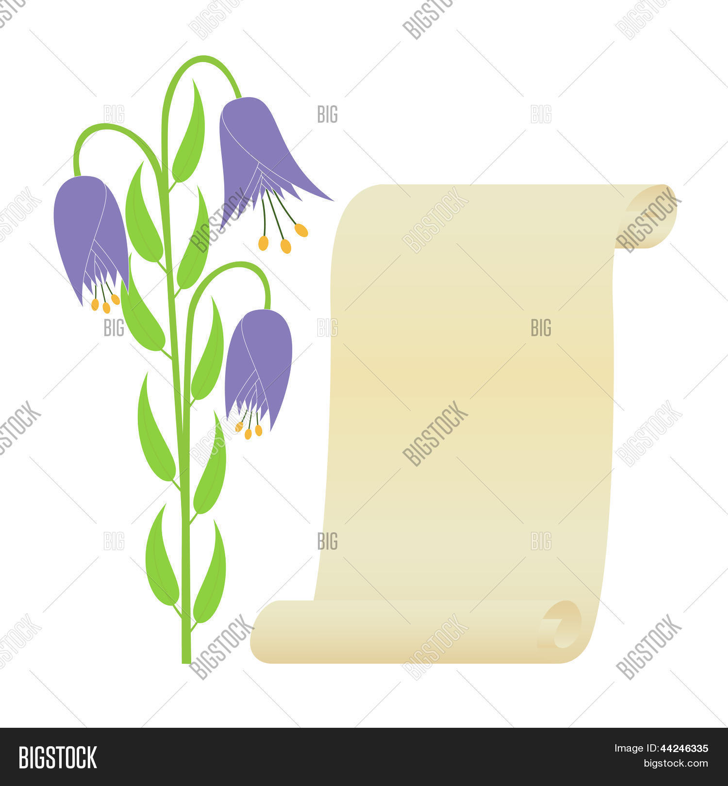 Image Preview