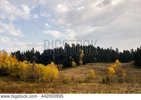 Beautiful Autumn Landscape With Mountains At Sunset. Birch Trees On Golden Mountain Hills Illuminate