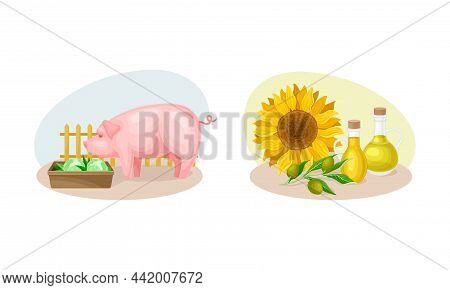 Agriculture Industry And Farm Objects Set. Livestock And Sunflower Oil Production Cartoon Vector Ill