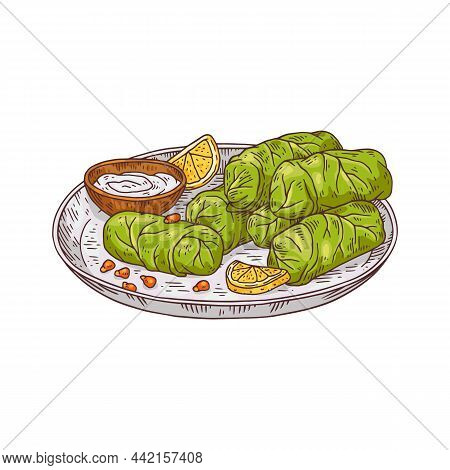 Plate Of Traditional Turkish Dish - Dolmades In Colored Sketch Style, Vector Illustration Isolated O