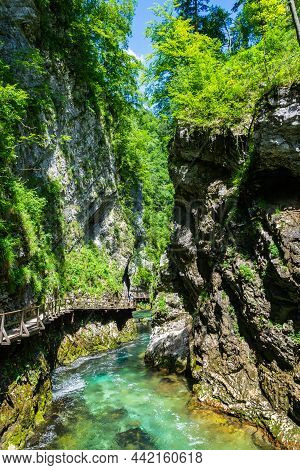 Landscape In Vintgar Gorge (soteska Vintgar) Near Bled Town In Slovenia, With The Wooden Walkway And