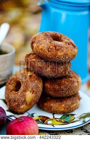 Apple Cider Donuts In The Autumn Garden . Selective Focus