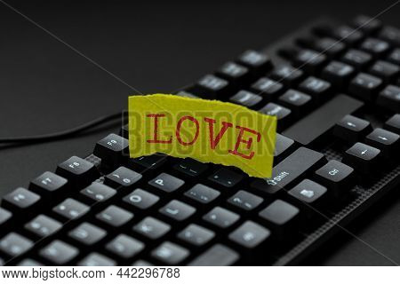 Writing Displaying Text Love. Word For Feeling Of Strong Or Constant Affection For A Person Feel Dee