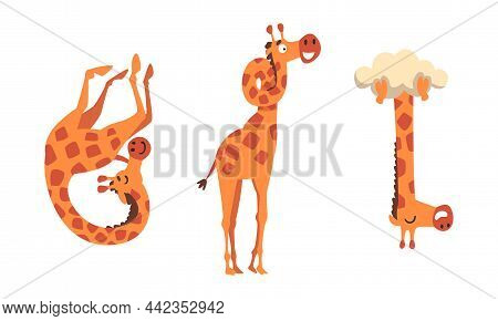 Funny Giraffe Character With Long Legs And Neck Hanging Upside Down Vector Set