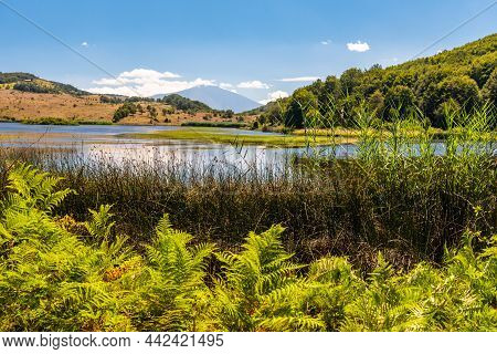 View Of Biviere Lake With Etna Volcano, Nebrodi National Park, Sicily, Italy
