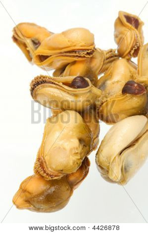 Mossel