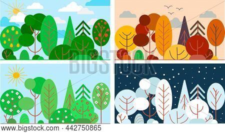 Tree Seasons Landscape. 4 Different Seasons Of The Year. Park Or Forest Natural View In Spring. Summ