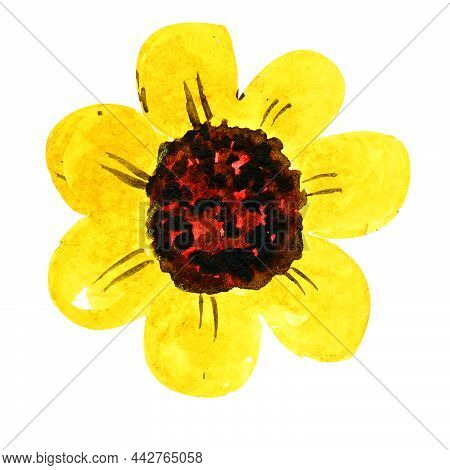 Watercolor Illustration Yellow Flower Nectar For Bees