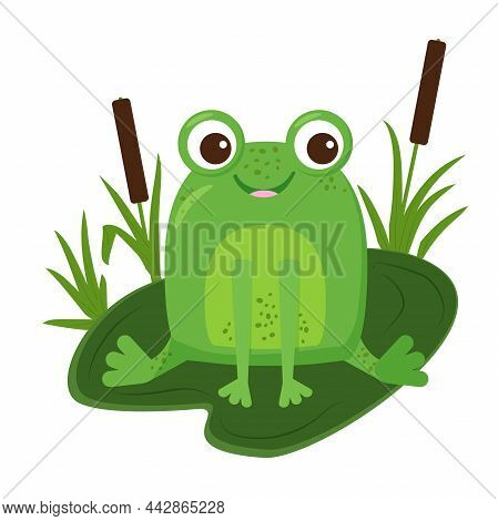 Funny Green Frog Cartoon Sitting On A Leaf
