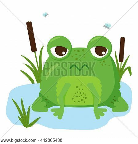 Funny Green Frog Cartoon Sitting On A Leaf