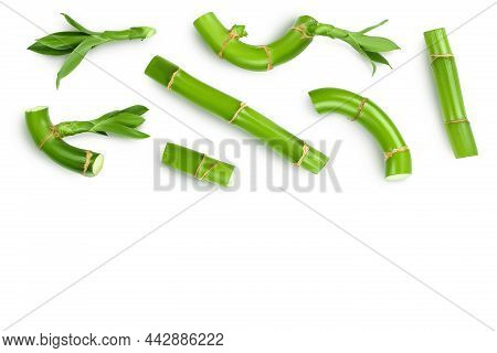 Green Bamboo With Leaves Isolated On White Background With Clipping Path. Top View With Copy Space F