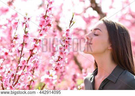 Profile Of A Satisfied Woman Smelling Scented Flowers In A Field