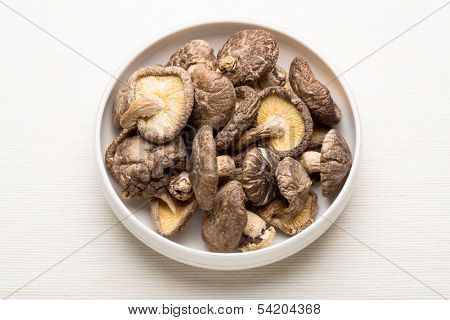 Dried mushroom on the bowl