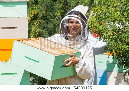 Portrait of beautiful beekeeper carrying honeycomb box while working at apiary