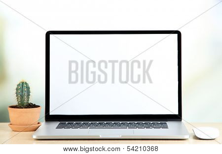 Laptop and cactus in flowerpot on wooden table