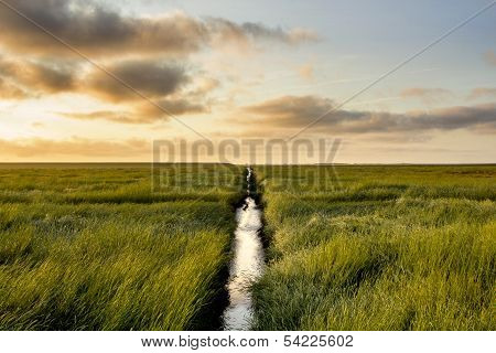 Salt Meadow During Sunrise
