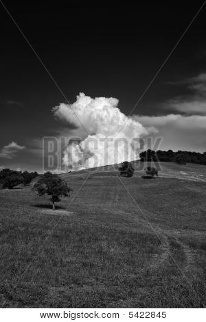 Campagne Toscane Italie près de Pitigliano noir & blanc n/b