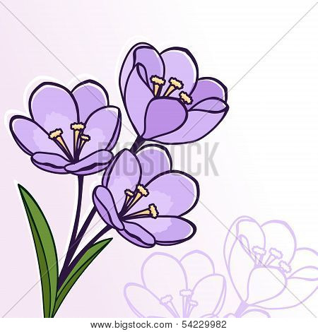 Abstract floral background. Greeting postcard.