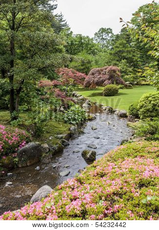 Fragment Of A Japanese Garden With Stream, Pink Flowers And Acer Trees With Red Leaves.