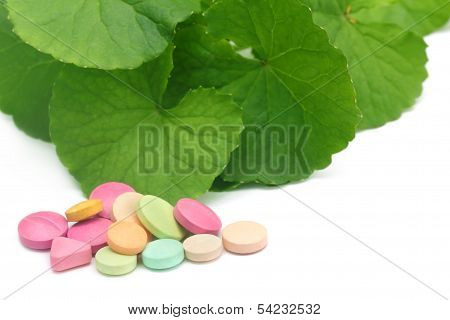 Medicinal Thankuni Leaves With Pills