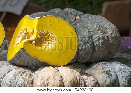 Japanese Pumpkin