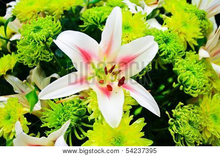 A Bouquet Of Lily Flowers.