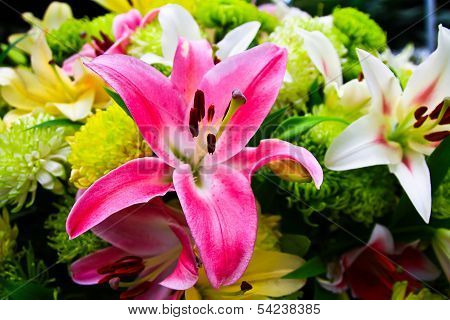 A Bouquet Of Pink Lily.