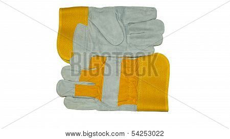 gloves workers
