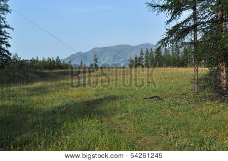 Green Meadows In Mountain Valley Of The River Suntar.