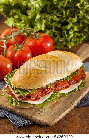 Homemade Italian Sub Sandwich