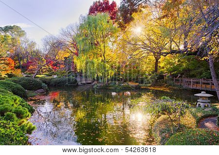 Fall Foliage In Texas