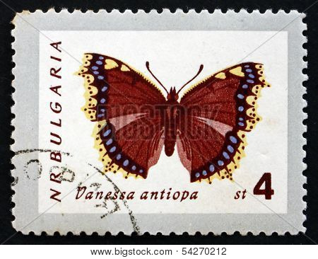Postage Stamp Bulgaria 1962 Mourning Cloak, Butterfly