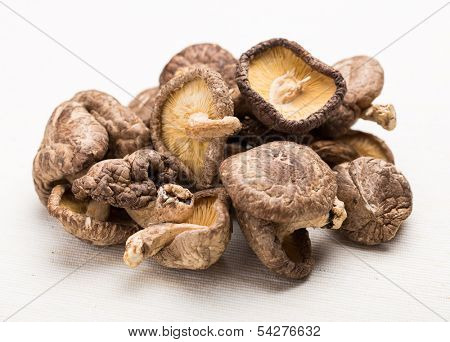 Heap of the dried mushroom