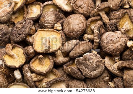 Dried mushroom